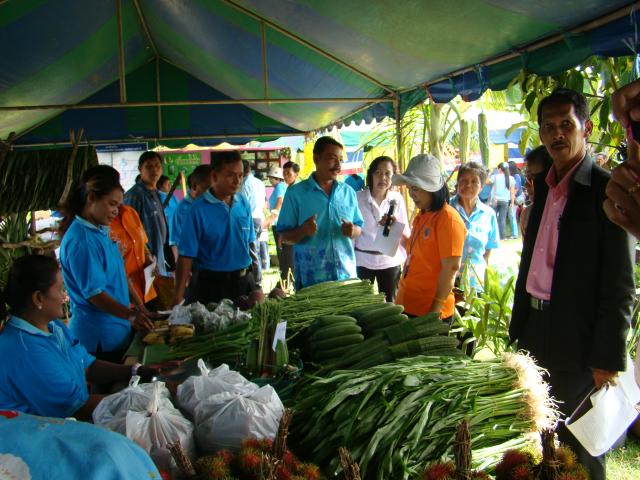 มหกรรมรวมพลังสร้างเสริมสุขภาพ ถวายราชสดุดี ๘๐ พรรษา มหาราชินี