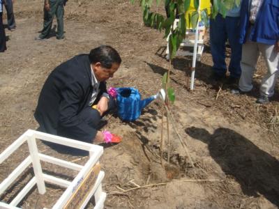 ผู้ว่าราชการจังหวัดสุราษฎร์ธานี เป็นประธานพิธีเปิดโครงการธนาคารต้นไม้