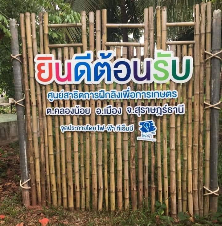 การสาธิตการฝึกลิงเพื่อการเกษตร