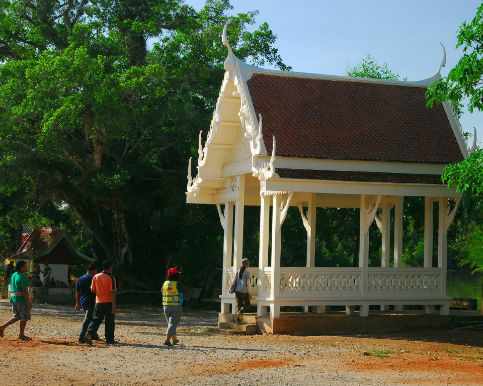 วัดบุญบันเทิง , ต้นไทรเก็บกระดูก